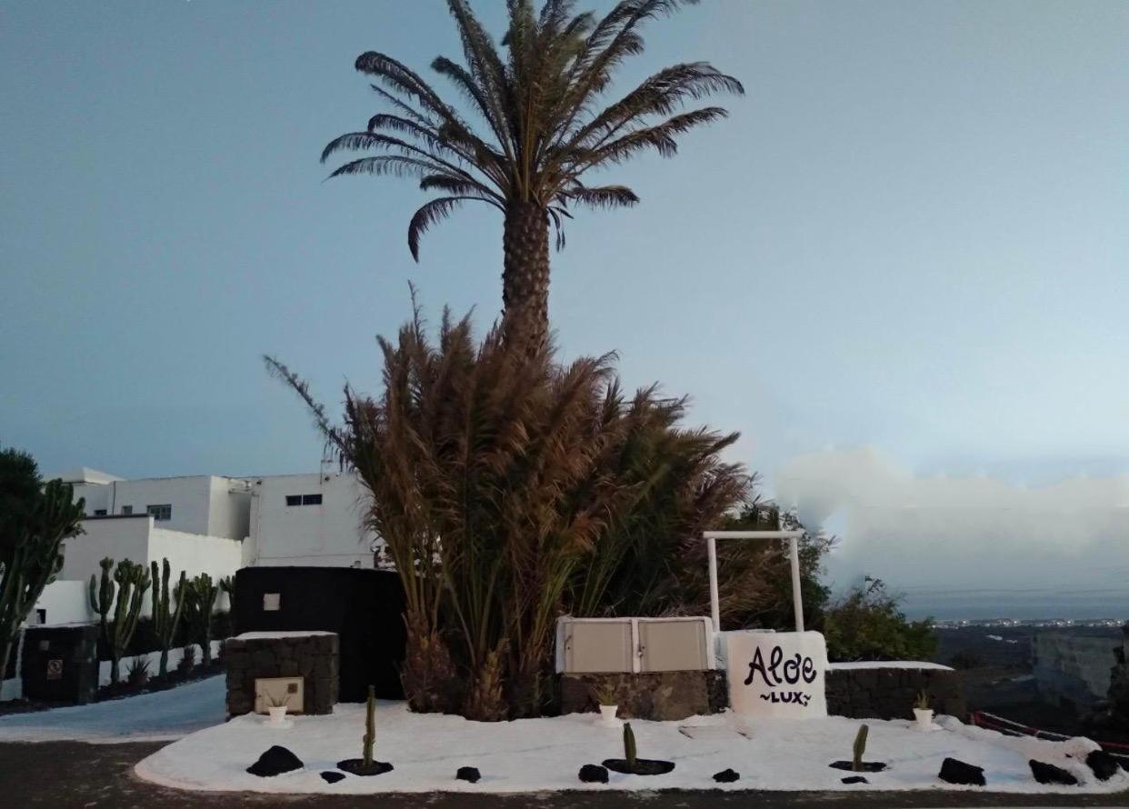 Aloelux Villa ! - Private Villa With Jacuzzi, Cinema ,Massage ,Wonderful View, Art Desing Villa Conil ภายนอก รูปภาพ